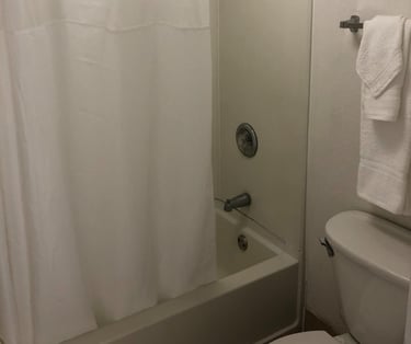 a bathroom with a shower and a toilet