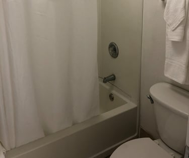 a bathroom with a shower and a toilet