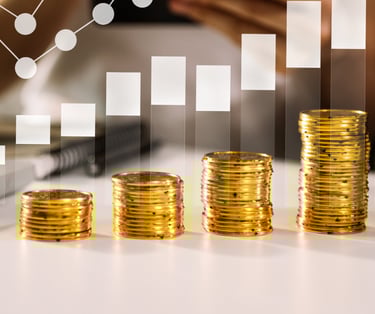 صورة توضح تقديم خدمات الاستشارات الاستثمارية وتحليل الفرص المالية لمساعدة الشركات على اتخاذ قرارات ا