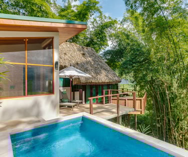 Swimming pool in this Belize tree top villa