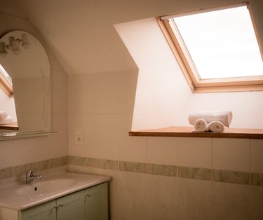 Salle de bain de la chambre Pinson de la Ferme du Veyre