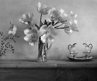 Bouquet de Tulioes. Boulogne Billancourt. Film 4x5 inches Tri-X dev Diaminophénol