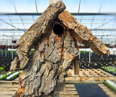 www.mooresGhouse.com
