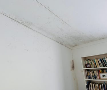 Black mold growth spreading across a white bedroom wall and ceiling near a bookshelf.