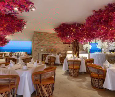 hotel todo incluido puerto vallarta