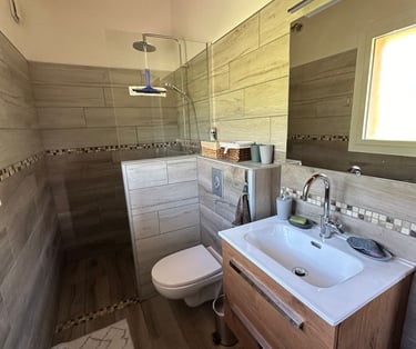 Salle de bains avec évier, toilettes et douche à l'italienne, le tout refait à neuf.