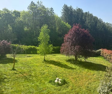 Le grand jardin de nos gites au printemps.