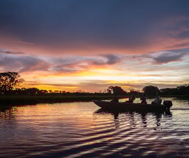 Boat Ride at Brazilian Northern Pantanal