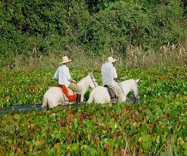 Horseback Ride in Pouso Alegre Lodge