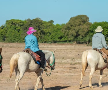 Horseback Ride at Pantanal