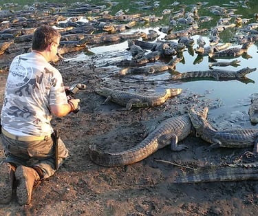 Wildlife at Brazilian Northern Pantanal