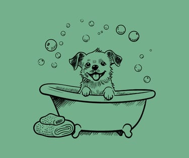 Wash, brush, and dry service for dogs at EMG Dog Grooming Studio Amsterdam.