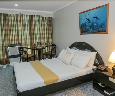 a bed room with a bed and a desk