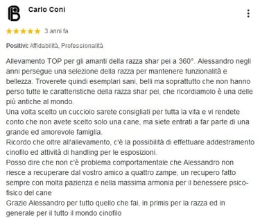 addestramento cane avellino