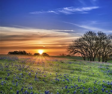 country real estate land lots for sale in texas near me