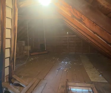 Crew removing clutter and debris during attic cleanout project