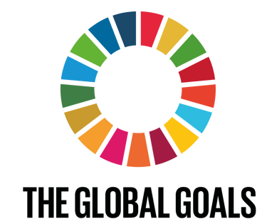 Metas globales agenda 2030