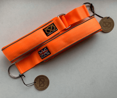 collare martingala sbt 1935