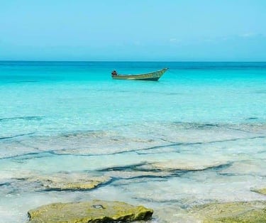 Socotra tour baot