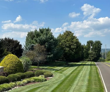 excellent landscaping and hardscaping of grass, stones and trees by NP Landscaping