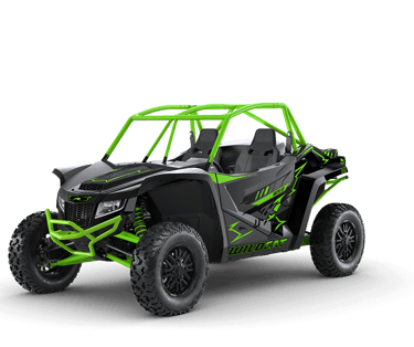 arctic cat