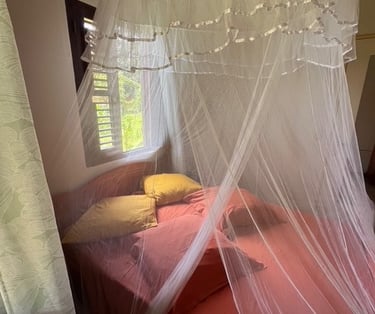 chambre double avec une moustiquaire