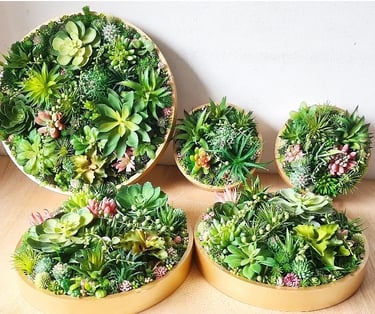 Vertical wall art featuring faux succulent arrangements in circular gold frames for home decor.