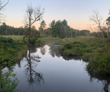 Massachusetts Notice of Intent