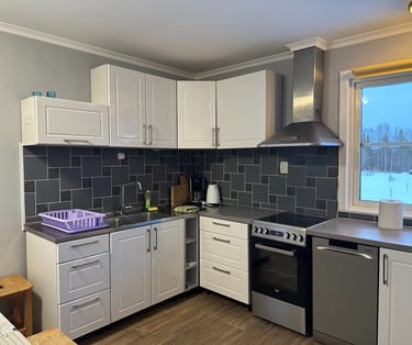 a kitchen with a stove top oven and a dishwasher