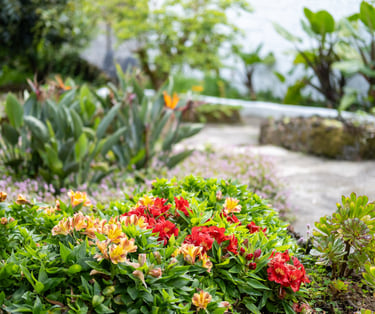 Quinta Sao Roque garden