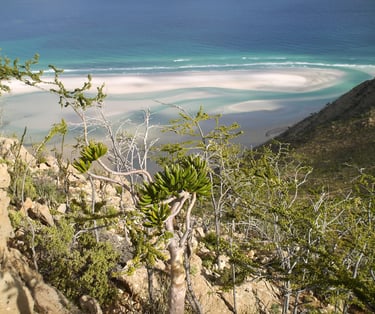 qalancyah socotra