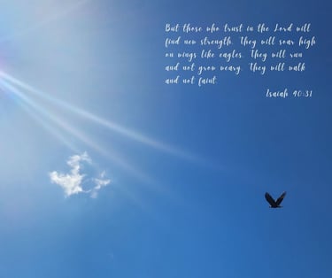 a bird flying in the sky with a quote from Isaiah
