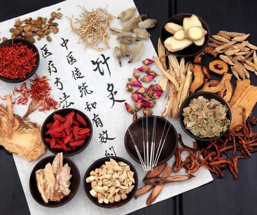 acupuncteur meylan