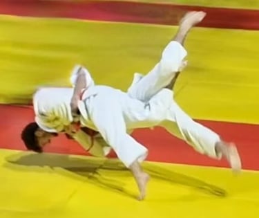 Aijaku Senior 2023
