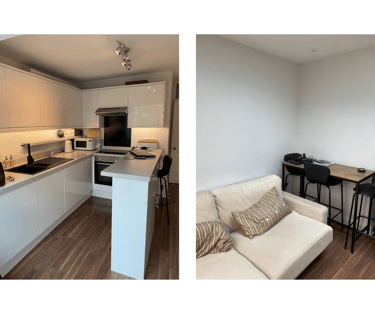 Existing narrow kitchen and living area with very grey and neutral tones