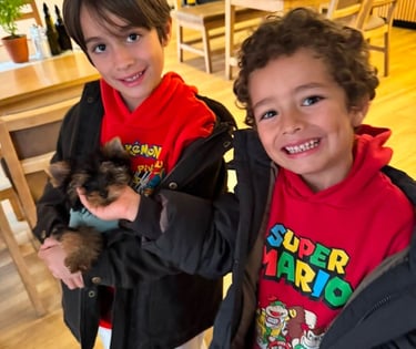 Rescatar un perro en España