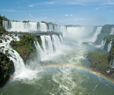 Contrate uma Franquia de Curso de Banho e Tosa Foz do Iguaçu