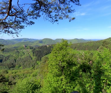 Randonnée 26 avril 2026