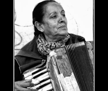 Xavier Montaner - Acordeon