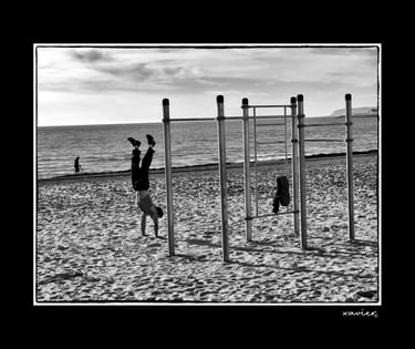 Xavier Montaner - 593