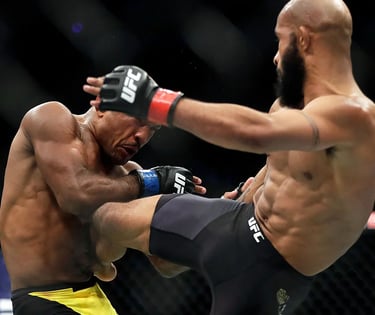 knockout