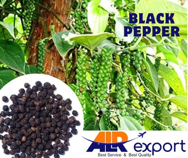 Black pepper for exporting to dubai