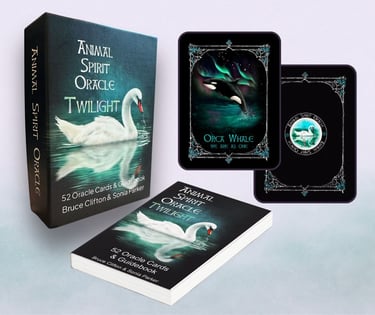 Animal Spirit Oracle Twilight box with cards and guidebook displayed