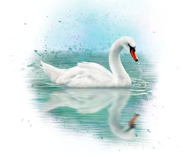 Swan Spirit Animal from the Animal Spirit Oracle Deck