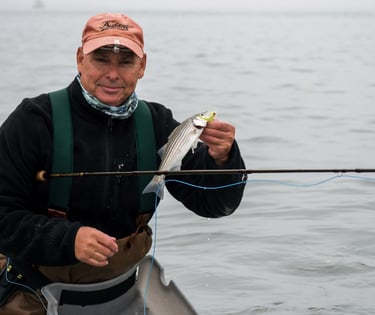 holding a small striped bass