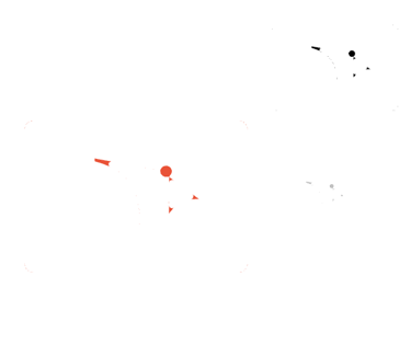Entrenamientos a la medida