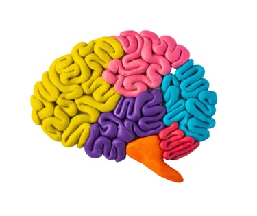 an image of a colourful brain made out of plastercine