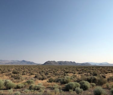 Nevada backroad to 12 Mile Hot Springs