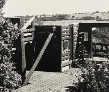 une cabane, dans un style Land Art