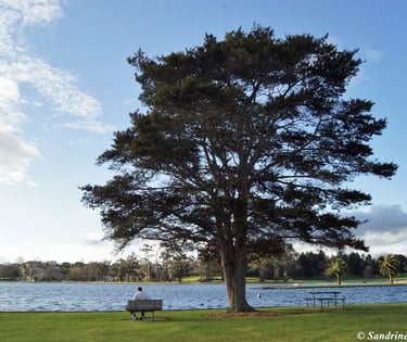 sophrologie villefranche